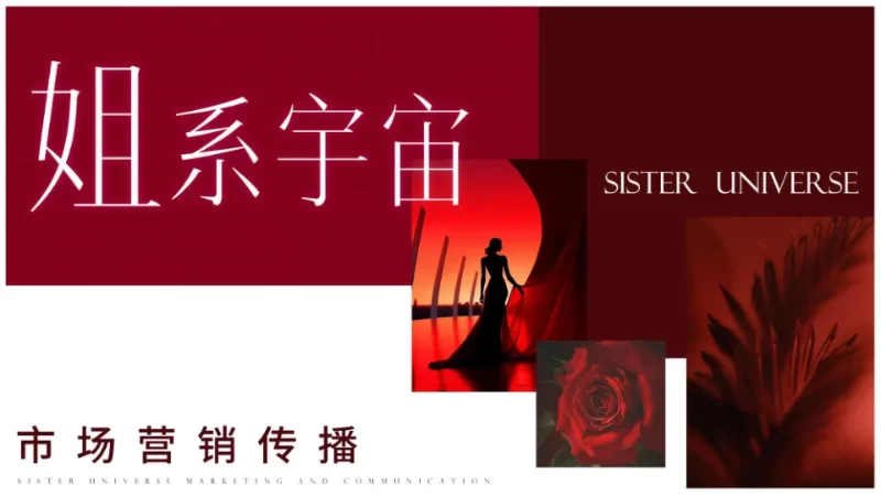 抖音行业IP内容直播综艺《姐系宇宙》市场营销传播