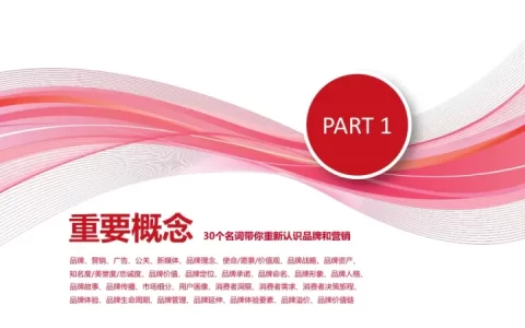 《品牌营销100讲：基础强化与认知颠覆》市场营销入门、进阶必备工具