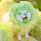 隐子的头像