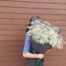 清的头像