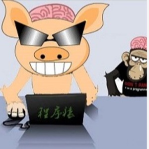 公众号l八戒程序猿的头像