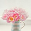 。春暖花开13507620569的头像