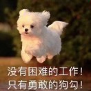 不负憧憬的头像